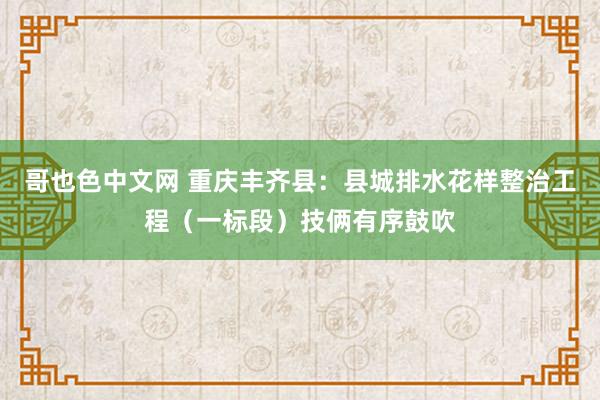 哥也色中文网 重庆丰齐县：县城排水花样整治工程（一标段）技俩有序鼓吹