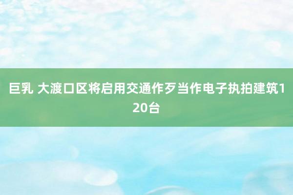 巨乳 大渡口区将启用交通作歹当作电子执拍建筑120台