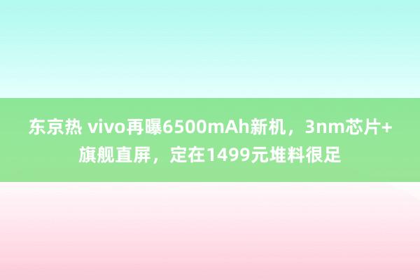 东京热 vivo再曝6500mAh新机，3nm芯片+旗舰直屏，定在1499元堆料很足