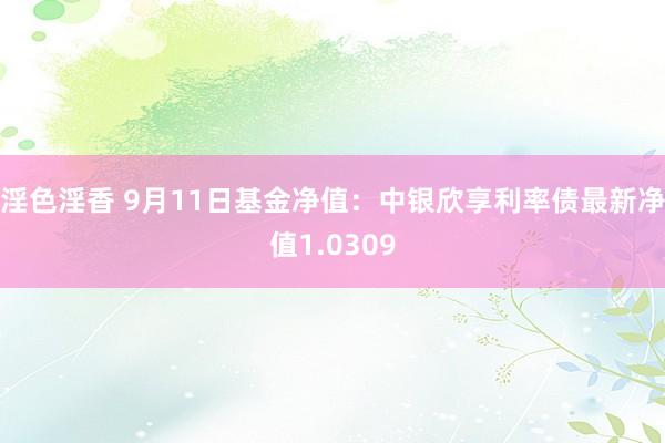 淫色淫香 9月11日基金净值：中银欣享利率债最新净值1.0309