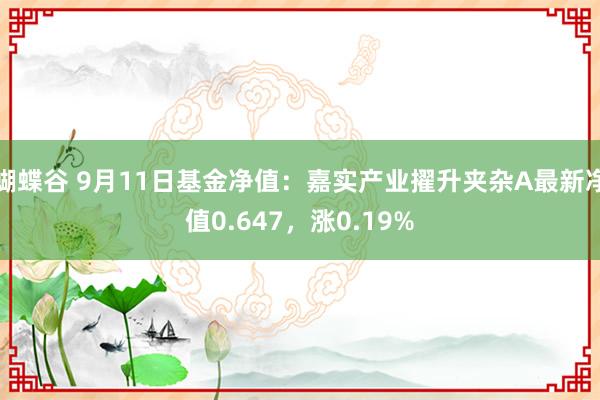 蝴蝶谷 9月11日基金净值：嘉实产业擢升夹杂A最新净值0.647，涨0.19%