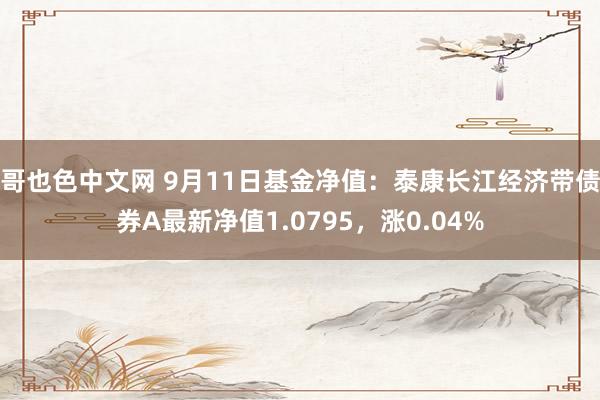 哥也色中文网 9月11日基金净值：泰康长江经济带债券A最新净值1.0795，涨0.04%