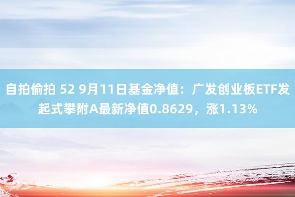 自拍偷拍 52 9月11日基金净值：广发创业板ETF发起式攀附A最新净值0.8629，涨1.13%