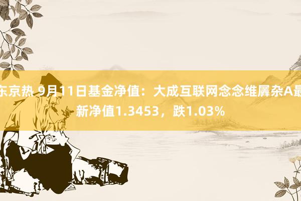 东京热 9月11日基金净值：大成互联网念念维羼杂A最新净值1.3453，跌1.03%