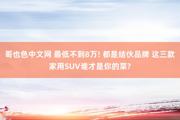 哥也色中文网 最低不到8万! 都是结伙品牌 这三款家用SUV谁才是你的菜?