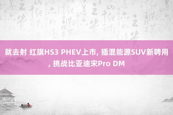 就去射 红旗HS3 PHEV上市， 插混能源SUV新聘用， 挑战比亚迪宋Pro DM