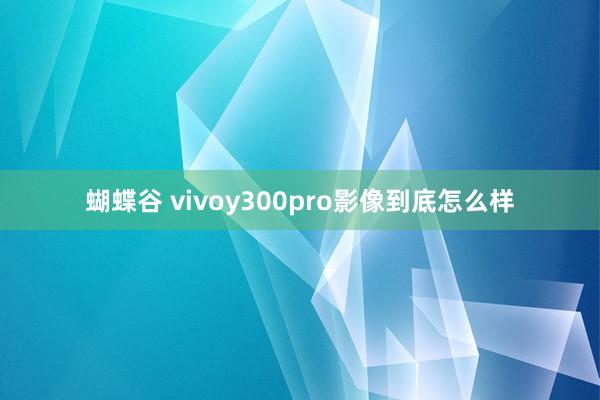 蝴蝶谷 vivoy300pro影像到底怎么样