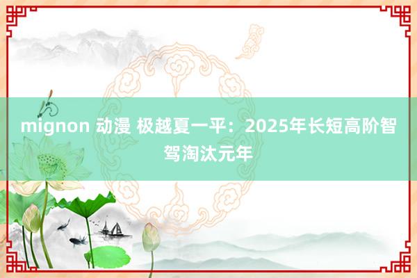 mignon 动漫 极越夏一平：2025年长短高阶智驾淘汰元年