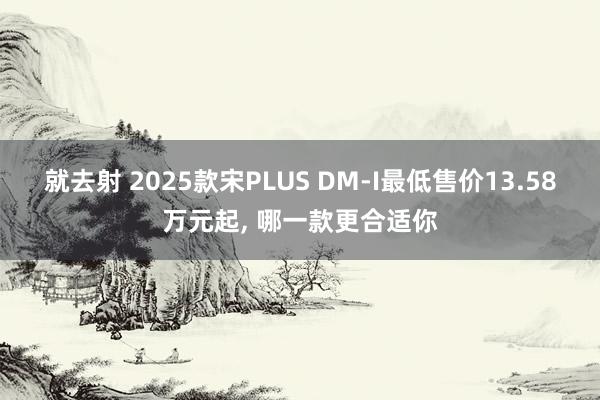 就去射 2025款宋PLUS DM-I最低售价13.58万元起， 哪一款更合适你