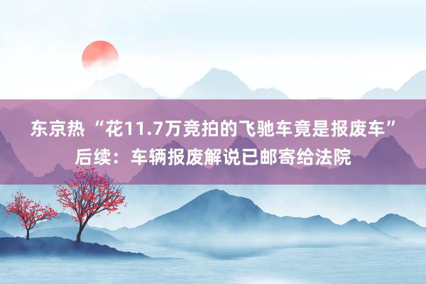 东京热 “花11.7万竞拍的飞驰车竟是报废车”后续：车辆报废解说已邮寄给法院