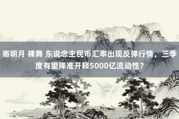 寄明月 裸舞 东说念主民币汇率出现反弹行情，三季度有望降准开释5000亿流动性？