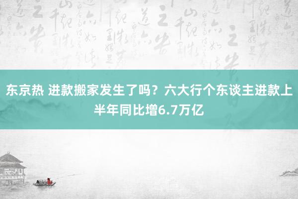 东京热 进款搬家发生了吗？六大行个东谈主进款上半年同比增6.7万亿