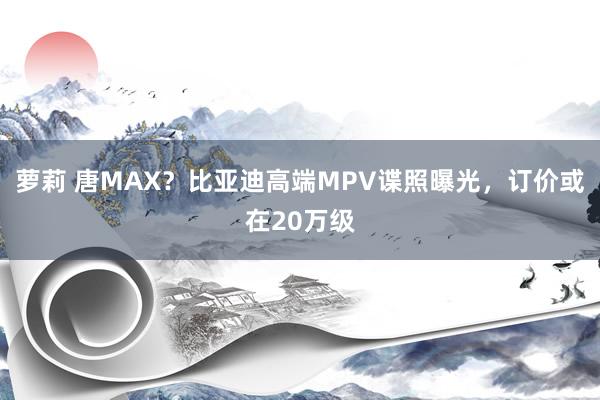 萝莉 唐MAX？比亚迪高端MPV谍照曝光，订价或在20万级