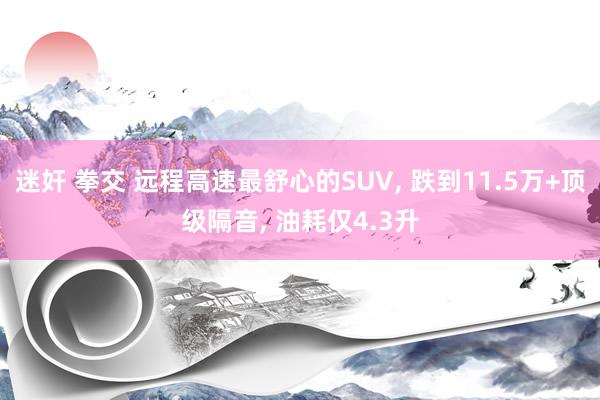 迷奸 拳交 远程高速最舒心的SUV， 跌到11.5万+顶级隔音， 油耗仅4.3升