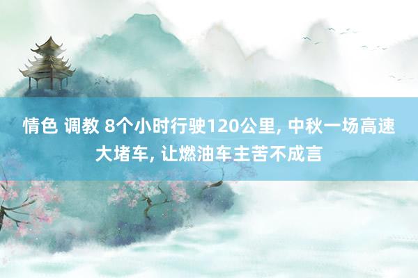 情色 调教 8个小时行驶120公里， 中秋一场高速大堵车， 让燃油车主苦不成言