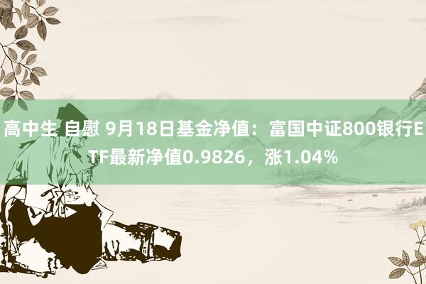 高中生 自慰 9月18日基金净值：富国中证800银行ETF最新净值0.9826，涨1.04%