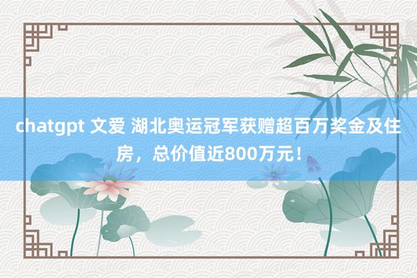 chatgpt 文爱 湖北奥运冠军获赠超百万奖金及住房，总价值近800万元！