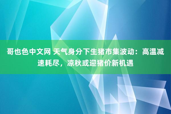 哥也色中文网 天气身分下生猪市集波动：高温减速耗尽，凉秋或迎猪价新机遇