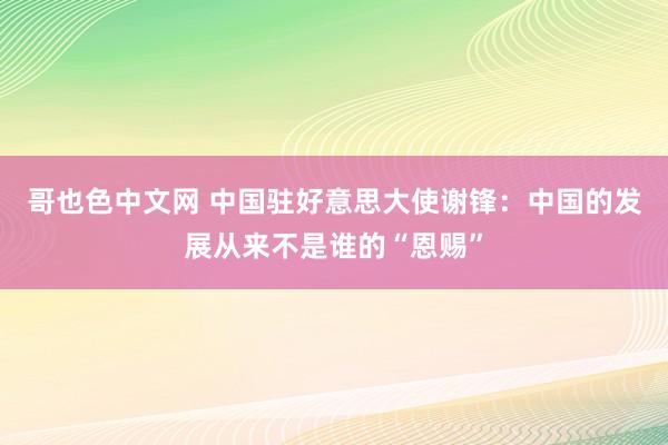 哥也色中文网 中国驻好意思大使谢锋：中国的发展从来不是谁的“恩赐”