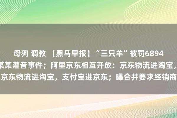 母狗 调教 【黑马早报】“三只羊”被罚6894万元；警方通报三只羊卢某某灌音事件；阿里京东相互开放：京东物流进淘宝，支付宝进京东；曝合并要求经销商二选一...