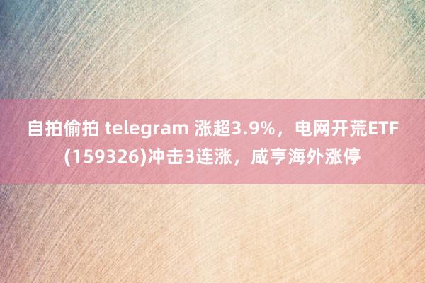 自拍偷拍 telegram 涨超3.9%，电网开荒ETF(159326)冲击3连涨，咸亨海外涨停