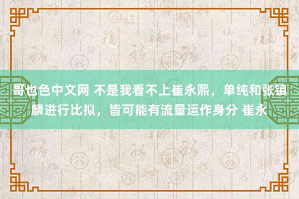 哥也色中文网 不是我看不上崔永熙，单纯和张镇麟进行比拟，皆可能有流量运作身分 崔永