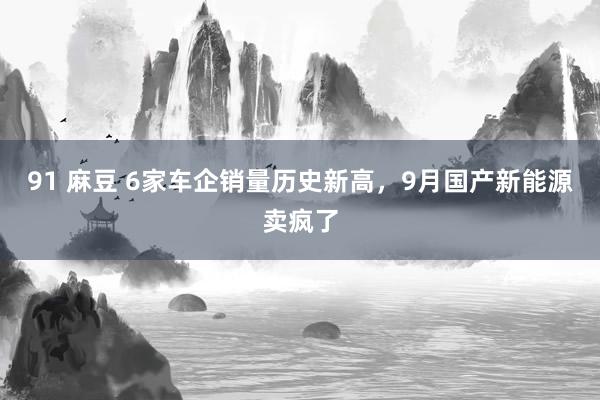 91 麻豆 6家车企销量历史新高，9月国产新能源卖疯了