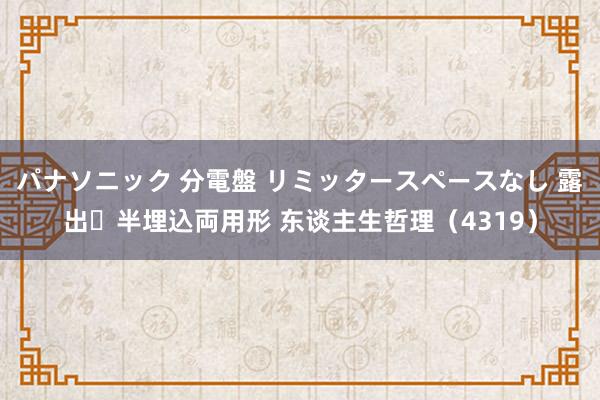 パナソニック 分電盤 リミッタースペースなし 露出・半埋込両用形 东谈主生哲理（4319）