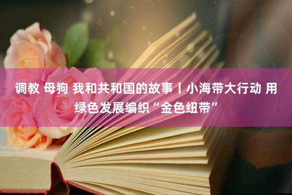 调教 母狗 我和共和国的故事丨小海带大行动 用绿色发展编织“金色纽带”