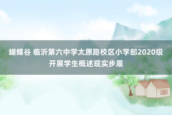 蝴蝶谷 临沂第六中学太原路校区小学部2020级开展学生概述现实步履