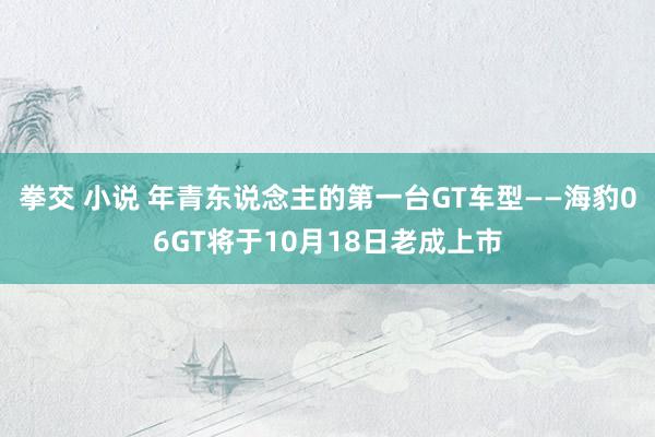 拳交 小说 年青东说念主的第一台GT车型——海豹06GT将于10月18日老成上市