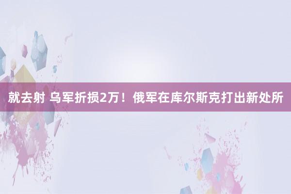 就去射 乌军折损2万！俄军在库尔斯克打出新处所