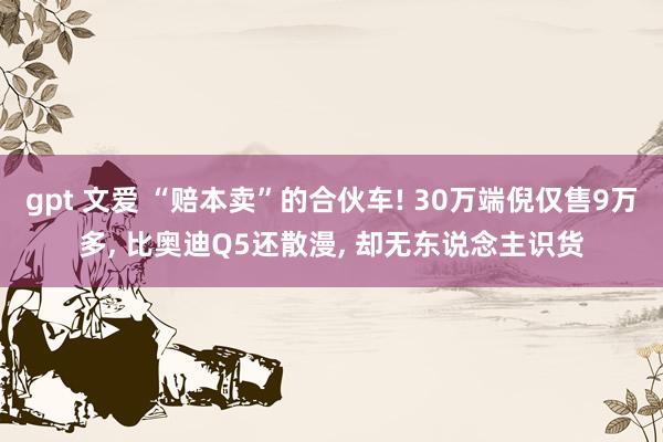 gpt 文爱 “赔本卖”的合伙车! 30万端倪仅售9万多， 比奥迪Q5还散漫， 却无东说念主识货