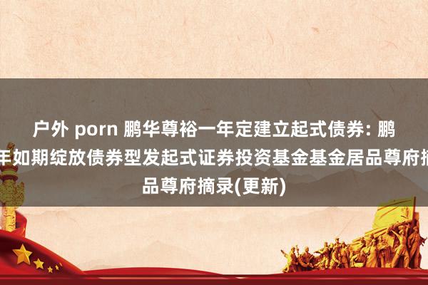 户外 porn 鹏华尊裕一年定建立起式债券: 鹏华尊裕一年如期绽放债券型发起式证券投资基金基金居品尊府摘录(更新)