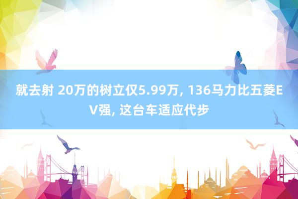 就去射 20万的树立仅5.99万， 136马力比五菱EV强， 这台车适应代步