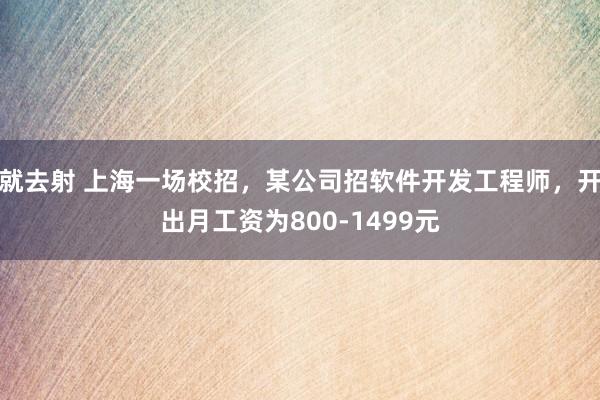 就去射 上海一场校招，某公司招软件开发工程师，开出月工资为800-1499元