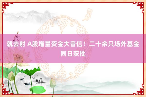 就去射 A股增量资金大音信！二十余只场外基金同日获批