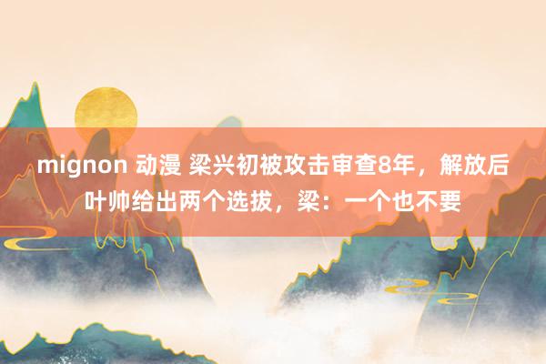 mignon 动漫 梁兴初被攻击审查8年，解放后叶帅给出两个选拔，梁：一个也不要