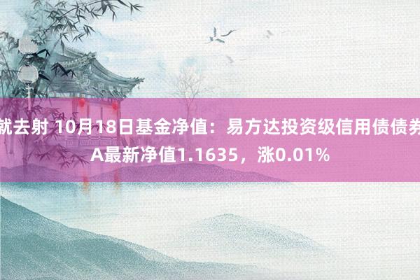 就去射 10月18日基金净值：易方达投资级信用债债券A最新净值1.1635，涨0.01%