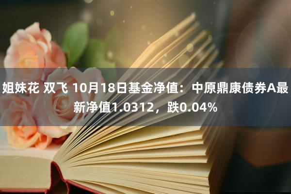 姐妹花 双飞 10月18日基金净值：中原鼎康债券A最新净值1.0312，跌0.04%