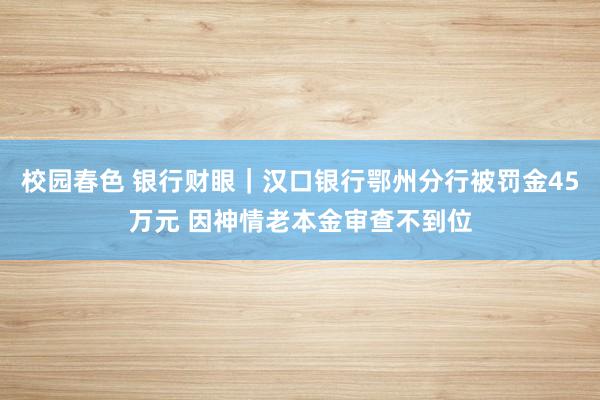 校园春色 银行财眼｜汉口银行鄂州分行被罚金45万元 因神情老本金审查不到位