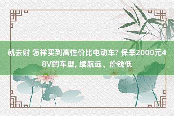 就去射 怎样买到高性价比电动车? 保举2000元48V的车型， 续航远、价钱低