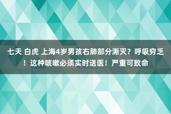 七天 白虎 上海4岁男孩右肺部分澌灭？呼吸穷乏！这种咳嗽必须实时送医！严重可致命