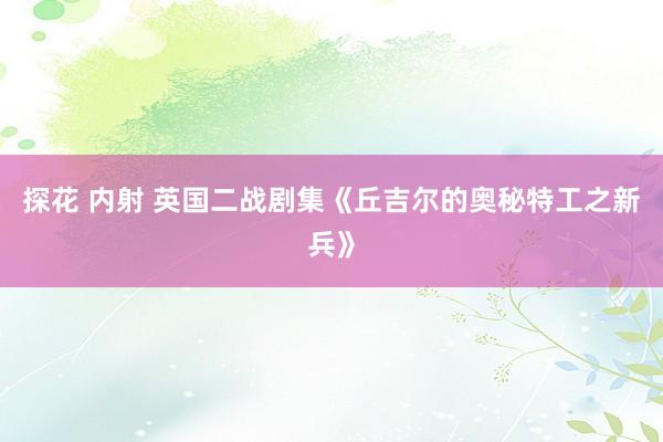 探花 内射 英国二战剧集《丘吉尔的奥秘特工之新兵》