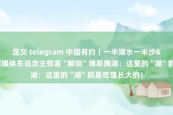 足交 telegram 中国有约丨一半湖水一半沙&#32;外籍媒体东说念主惊喜“解锁”博斯腾湖：这里的“湖”鸥是吃馕长大的！