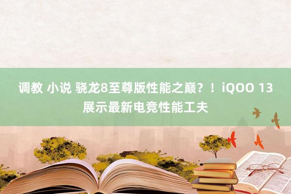 调教 小说 骁龙8至尊版性能之巅？！iQOO 13展示最新电竞性能工夫