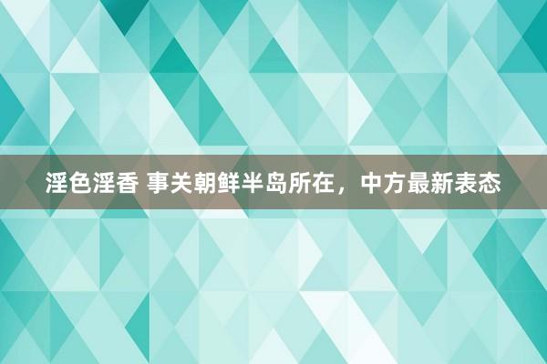 淫色淫香 事关朝鲜半岛所在，中方最新表态