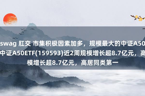 swag 肛交 市集积极因素加多，规模最大的中证A50ETF——吉祥中证A50ETF(159593)近2周规模增长超8.7亿元，高居同类第一