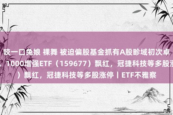 咬一口兔娘 裸舞 被迫偏股基金抓有A股畛域初次卓绝主动偏股基金，1000增强ETF（159677）飘红，冠捷科技等多股涨停丨ETF不雅察