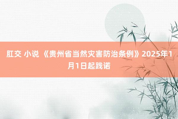 肛交 小说 《贵州省当然灾害防治条例》2025年1月1日起践诺